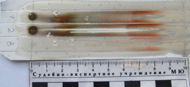 Качество масла