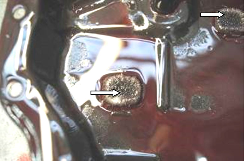 Причина неисправности АКПП