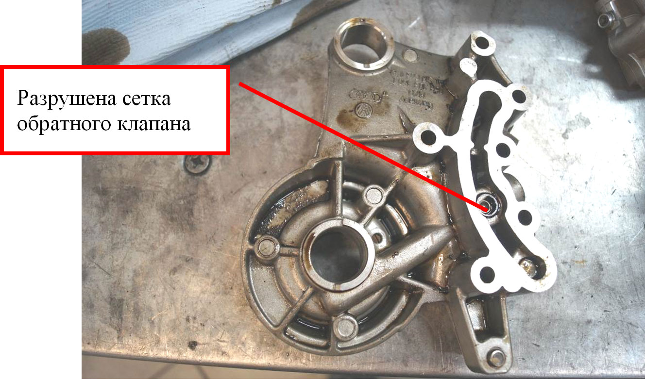 Фото 1. Разрушенная сетка обратного клапана