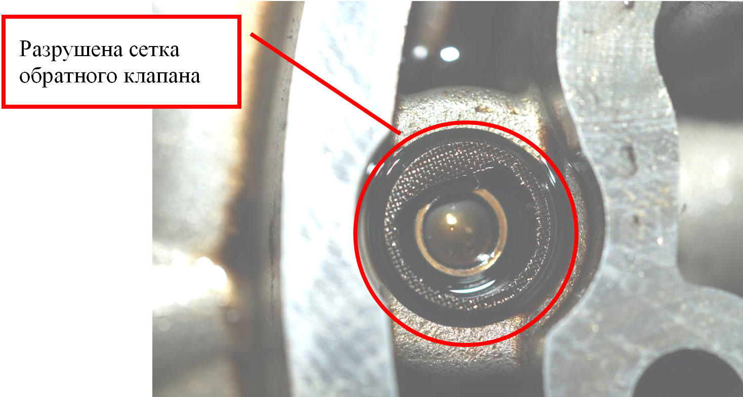 Фото 2. Разрушенная сетка обратного клапана